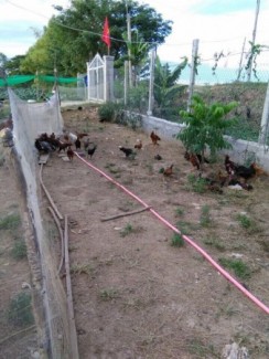 Cần bán nhà+đất mặt tiền tỉnh lộ 841