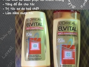 Dầu gội đầu L'oreal Evital