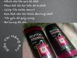Dầu gội đầu L'oreal Evital