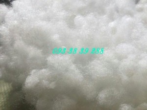 Cung cấp bông gòn công nghiệp làm gối, thú nhồi bông