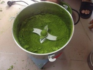 Máy xay thuốc nam giá rẻ