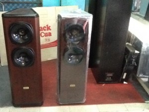 Bán chuyên Loa Tannoy D500 hàng tuyển chọn...