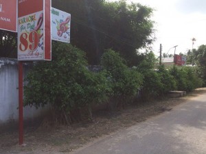 Sang đất và quán Karaoke
