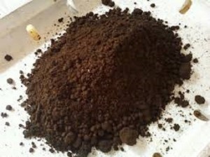 Chuyên cung cấp phân trùn quế, phân giun quế, trùn quế, phân trùn quế vi sinh