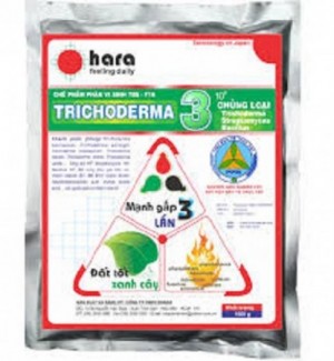 Chuyên cung cấp thuốc trừ nấm trichoderma, chế phẩm sinh học trichoderma,trichoderma