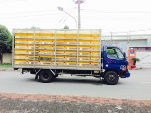 Bán xe tải Hyundai HD78 3.3 tấn chở gia cầm có hỗ trợ vay trả góp qua ngân hàng lãi suất cực ưu đãi
