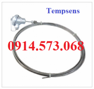 Đầu dò nhiệt độ Thermocouples loại N – T-104 / T-105 – Tempsens Viet Nam