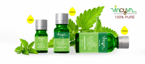 Nơi bán tinh dầu bạc hà nguyên chất