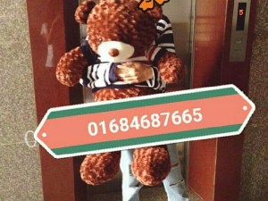 Gấu teddy ao len . Gấu brown