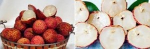 Chuyên cung cấp giống cây vải thiều không hạt,giống vải thiều mới