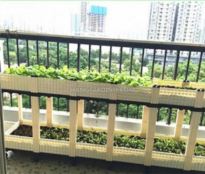 Một số mẫu chậu ghép trồng rau cực to cho mô hình ban công, sân thượng