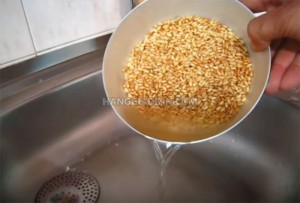 Cách trồng hạt giống cỏ lúa mì đơn giản nhất