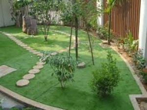 Cỏ Sân Vườn Thanh Lý