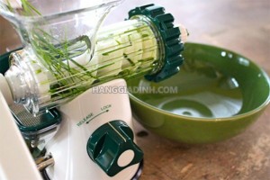 Máy ép nước cỏ lúa mì và trái cây nhập khẩu Mỹ