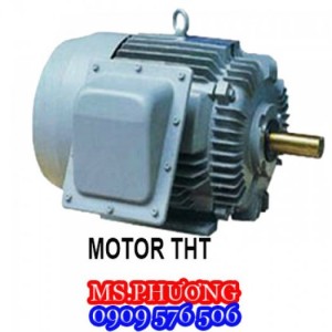 TPHCM-Cung cấp motor điện 1 pha, 3 pha các loại chính hãng giá rẻ