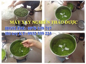 Máy xay nghiền thuốc nam giá rẻ