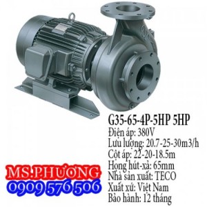 Đại lý bán máy bơm Teco Long Thành 4P giá tốt nhất TPHCM