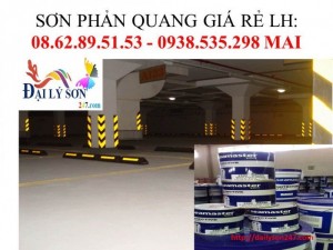 Đồng tháp cung cấp sơn lót, sơn phủ phản quang seamaster 6250