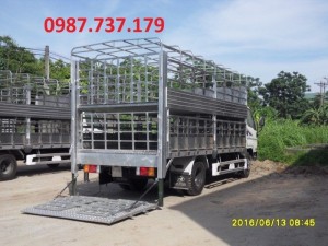 Xe bán chạy nhất thị trường, Hyundai HD700 Đồng Vàng