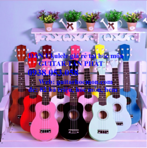 Bán ukulele giá rẻ tại tphcm chỉ với 350k .