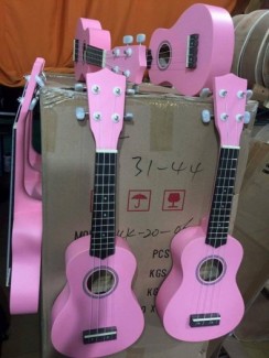Bán ukulele giá rẻ tại tphcm chỉ với 350k .
