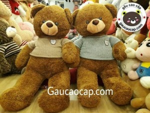 Chuyên Bán Gấu Bông đẹp ngoại nhập