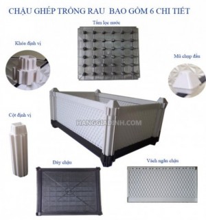 4 mẫu chậu nhựa ghép trồng rau cực to đang được mua nhiều nhất