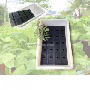 Chậu nhựa trồng rau được mua nhiều nhất