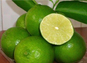 Chuyên cung cấp cây giống chanh bốn mùa, chanh tứ quý, số lượng lớn, giao hàng toàn quốc