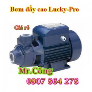 Đại lý phân phối máy bơm nước Lucky-Pro