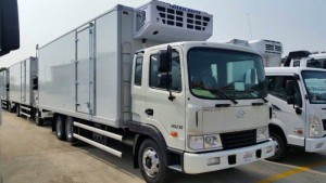 Hd210 thùng đông lạnh nhập khẩu nguyên chiếc