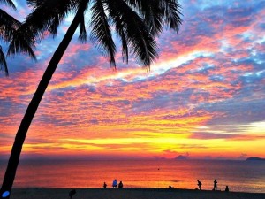 Tour Nha Trang - Đà Lạt giá tốt cùng VietSeason Travel