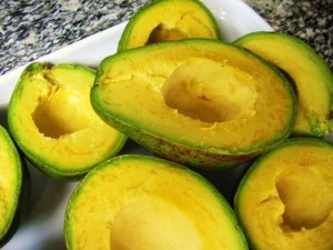Chuyên cung cấp giống cây bơ sáp,bơ,bơ sáp,giống cây bơ,cây bơ,giống cây bơ sáp