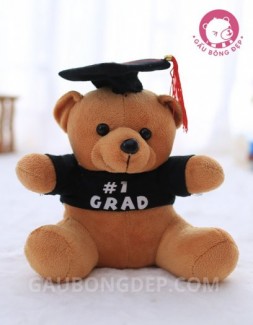 Chú gấu bông tốt nghiệp GRAD