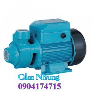 Máy bơm nước tưới cây Lepono APM37 0.5HP