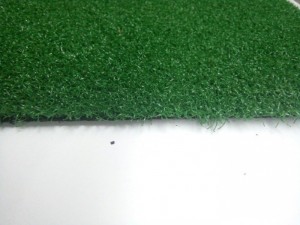 Cỏ golf