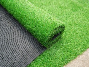 Cỏ golf