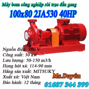 Máy bơm ly tâm trục ngang rời trục đầu gang Mitsuky