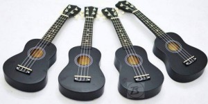 Bán đàn ukulele giá rẻ biên hòa