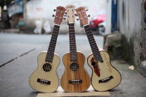 Bán đàn ukulele giá rẻ biên hòa