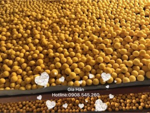 Viên tinh nghệ mật ong 100gr