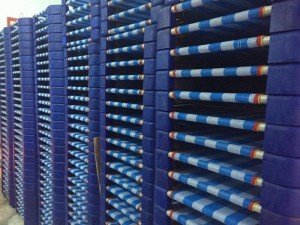 Giường lưới bọc nhựa sọc xanh dương dành cho trường mầm non