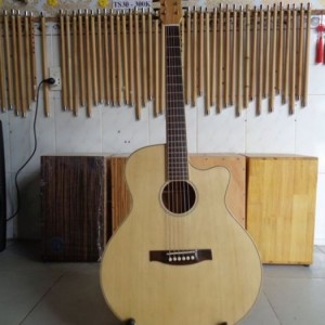 Bán đàn guitar giá rẻ biên hòa HD320