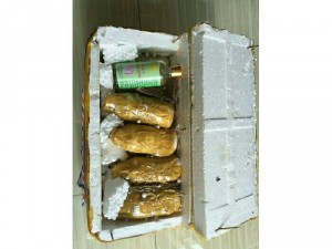 Tinh dầu tràm nguyên chất