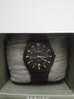 Đồng hồ Skagen