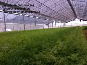 Lưới chắn côn trùng làm nhà kính