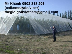 Lưới chắn côn trùng làm nhà kính