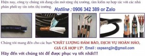 Nhà phân phối độc quyền cáp điện nhập khẩu số 1 Việt Nam