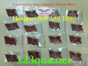 Cơ sở sản xuất huy hiệu cài áo, logo cài áo, huy hiệu đồng giá rẻ