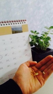 Dầu cá omega3